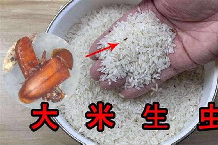 我家有个几斤大米长虫了,扔了怪可惜的,能当花肥吗