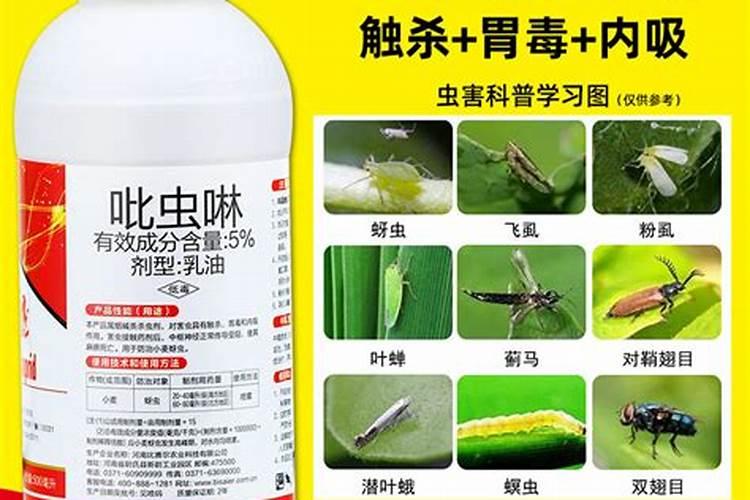 大棚辣椒开花挂果了,能用代森锌+磷酸二氢钾+吡虫啉+微肥叶面喷施,防治...