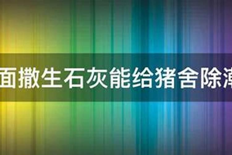 生石灰消毒干撒好还是化水泼