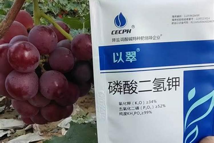磷酸二氢钾是什么肥料