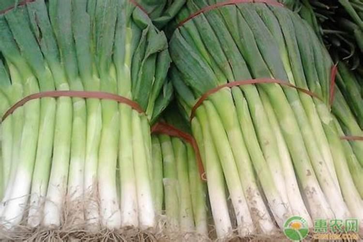 大葱用什么水溶肥效果好？大葱专用肥是什么肥料？