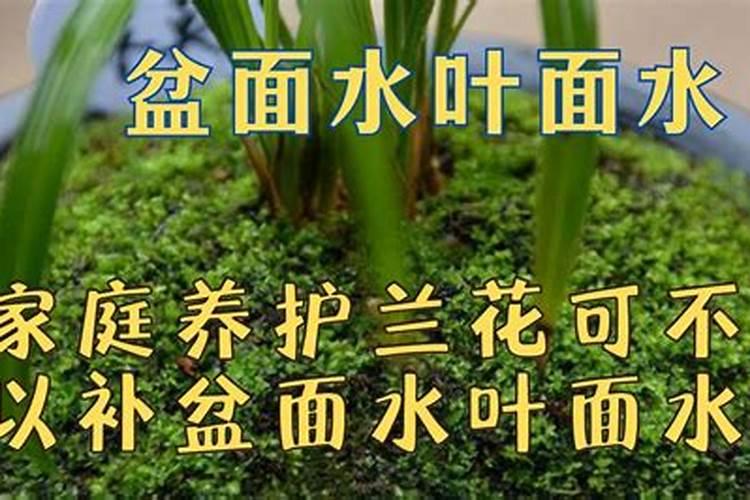 硫酸钾和纯硫酸钾区别