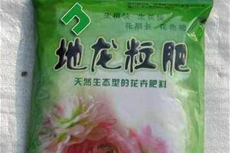 花卉施肥的最佳时间 花卉施肥的方法和技巧