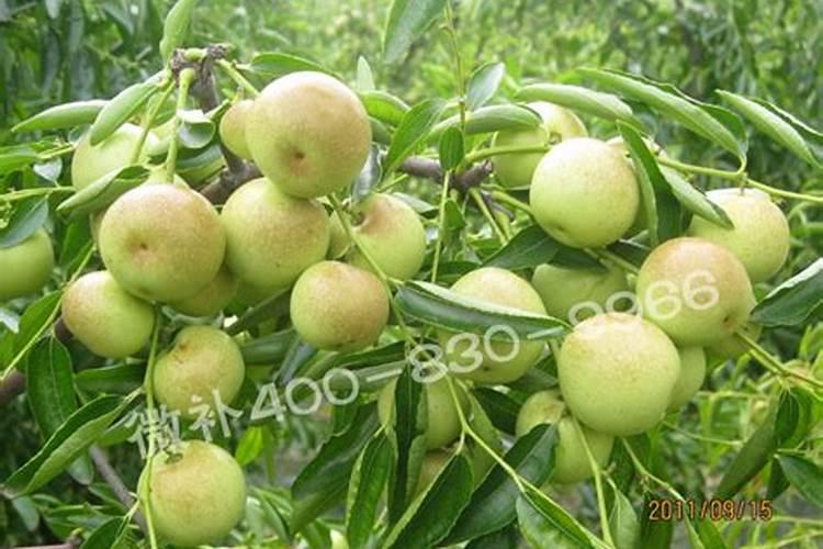 马爹利xo多少钱一瓶？马爹利xo市场价格表