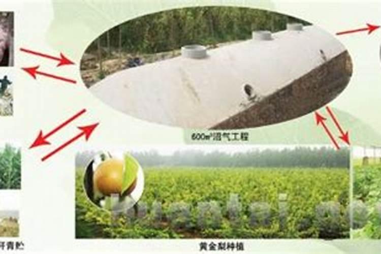 沼气液怎么做肥料？