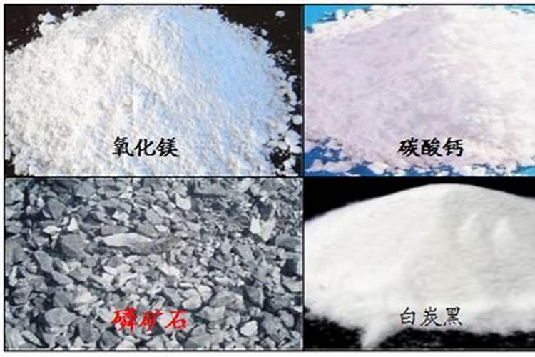长寿花移栽成活率高的最佳方法