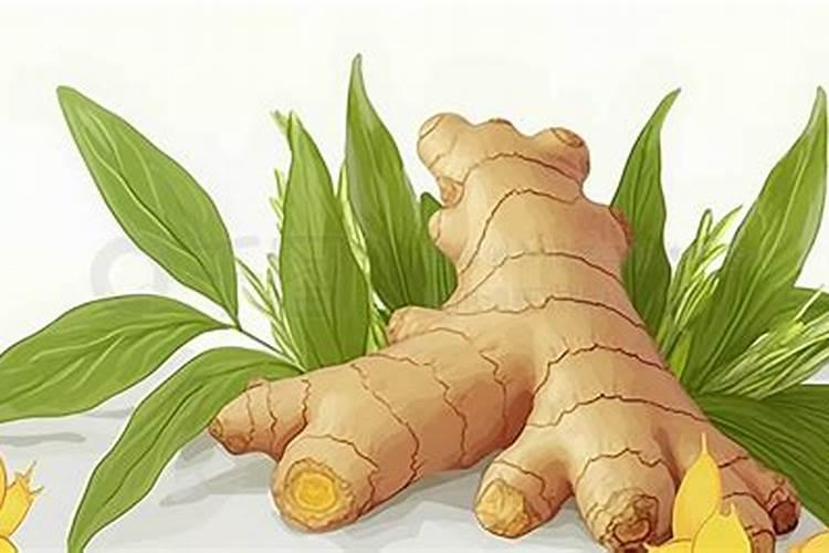 种植大姜后期用什么肥料好？