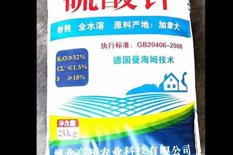 茶花施什么肥最好