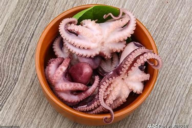 多肉可以用纯麦饭石种植吗