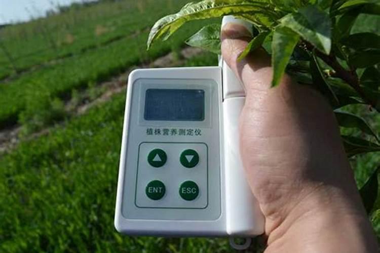氮肥适合哪些蔬菜.