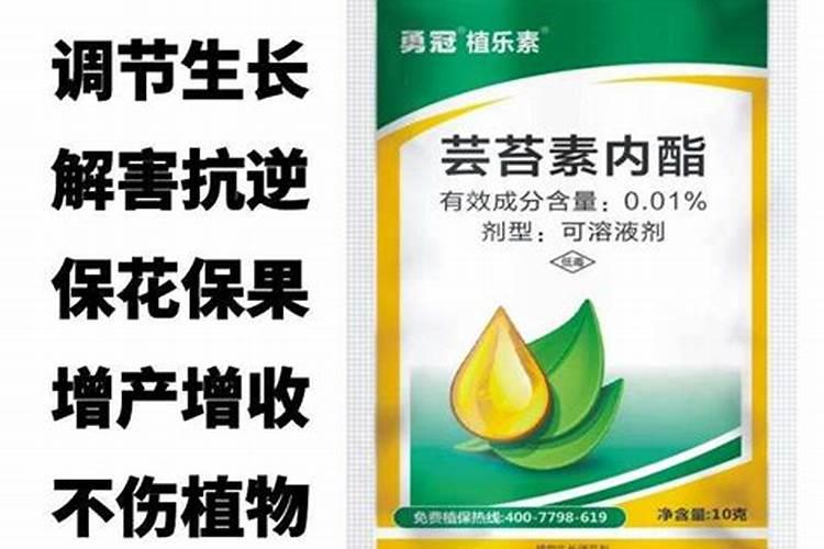 芸苔素使用技巧