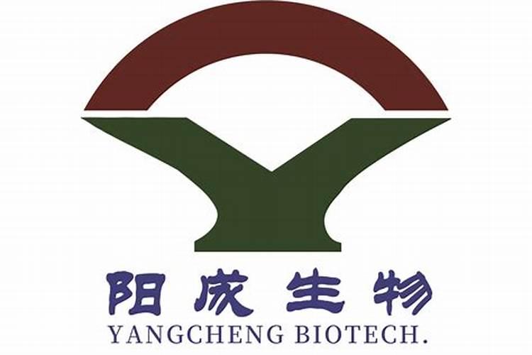 兰花捂老头繁殖的方法