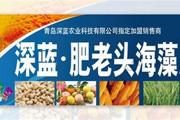 肥老头的产品介绍