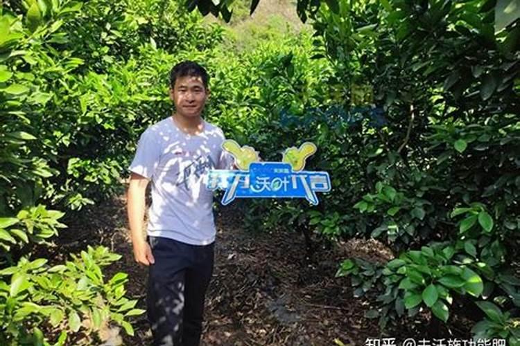 大量元素水溶肥使用方法