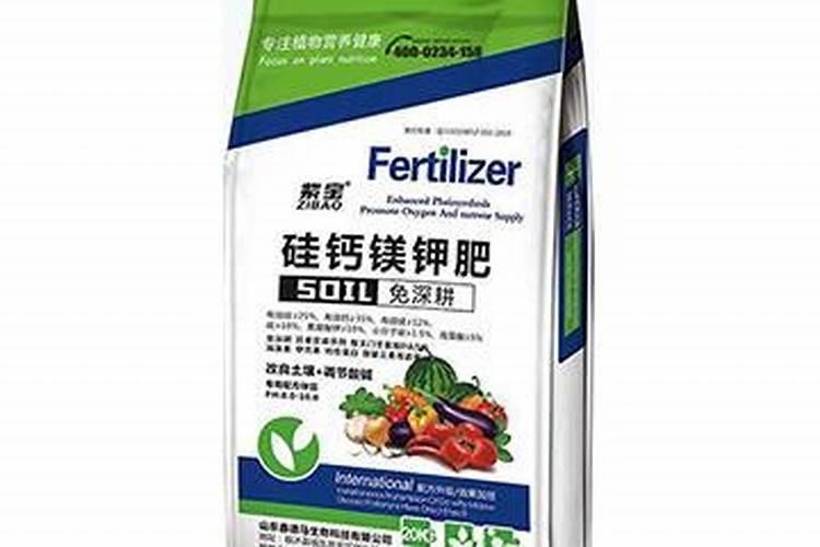 种植豆角施肥时,最好选择什么化肥呢？