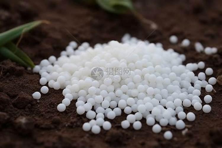 尿素可以浇哪些花