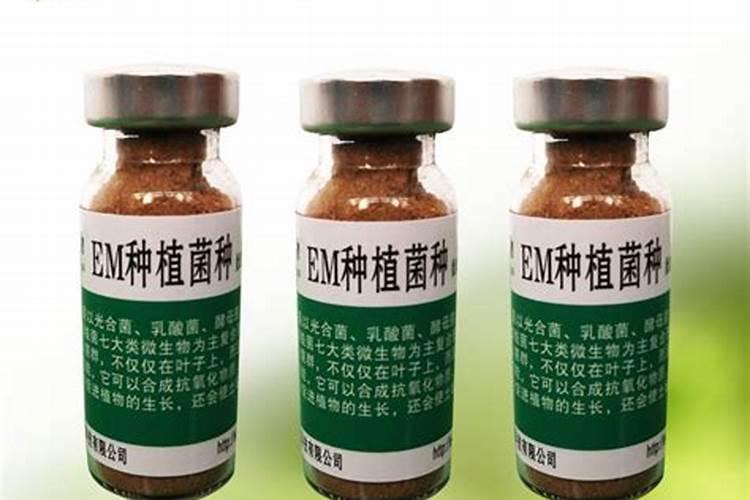 小麦茎腐病用什么药治疗最好
