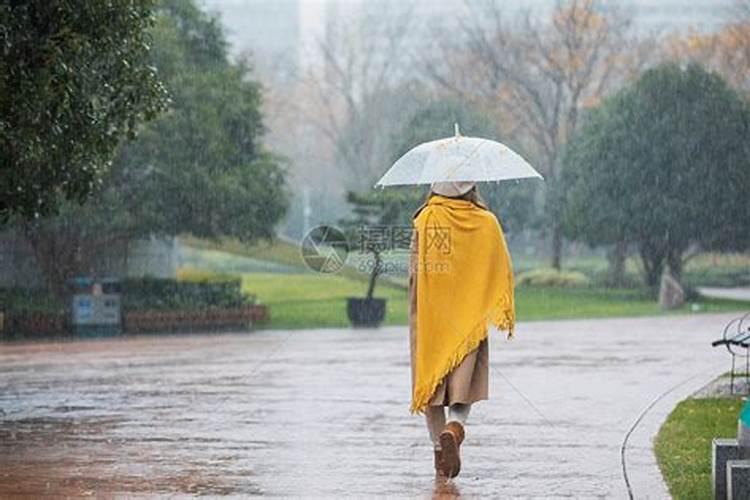 雨季施肥方法和注意事项有什么 雨季施肥方法和注意事项