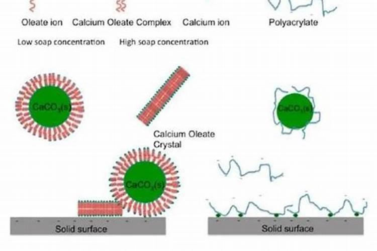 葡萄的套袋时间和撤袋时间,分别是哪个时间段呢？