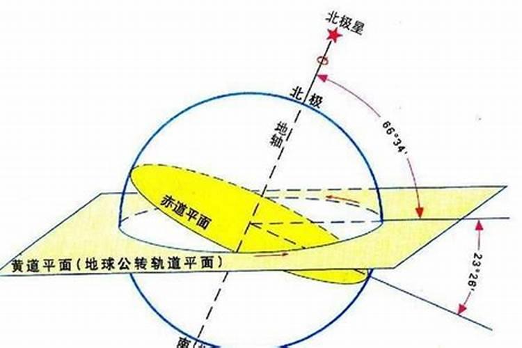 杨梅专用叶面肥怎么使用,更增产？