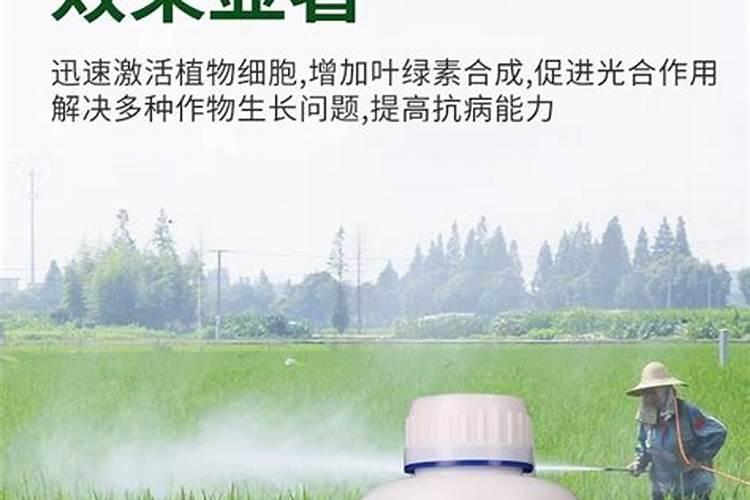 秋肥到底该如何选？高氮、平衡、高钾各有什么差别？