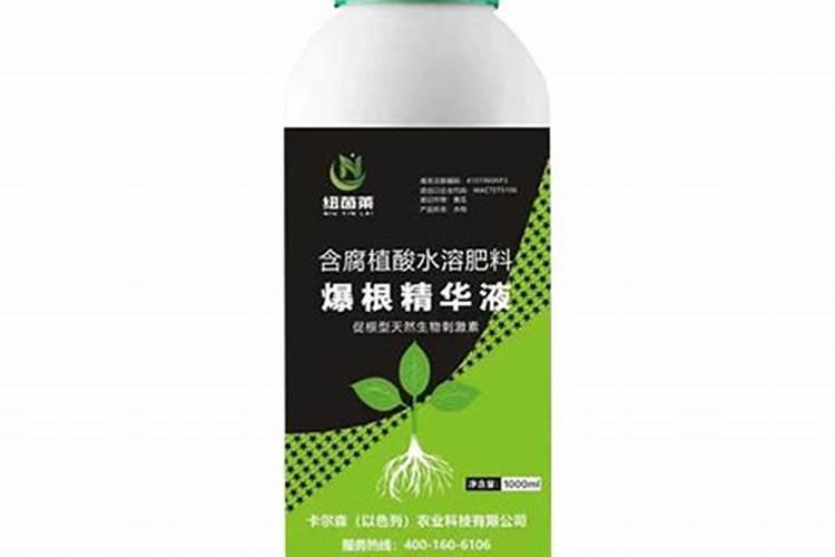 什么是大樱桃的旱黄落果(柳黄果)？如何防止？