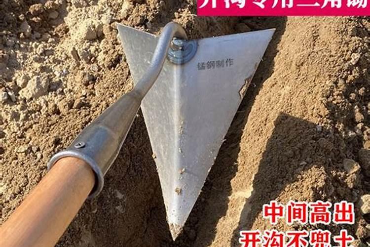 荷兰豆开花后多久结果急