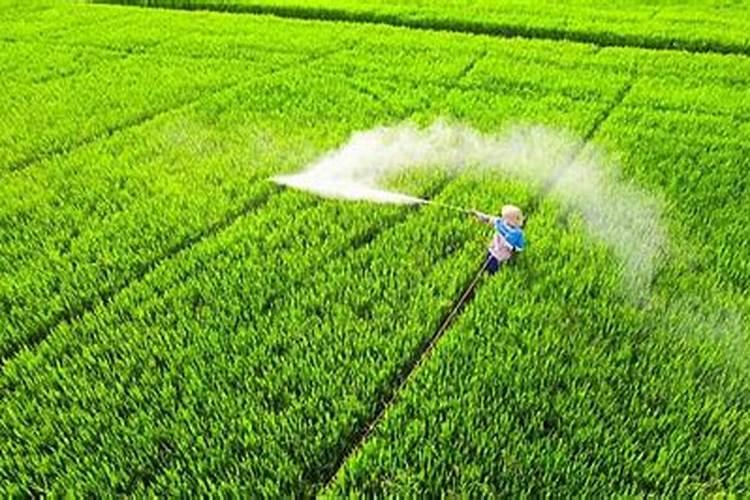 水溶肥使用时注意事项、方法与用量？
