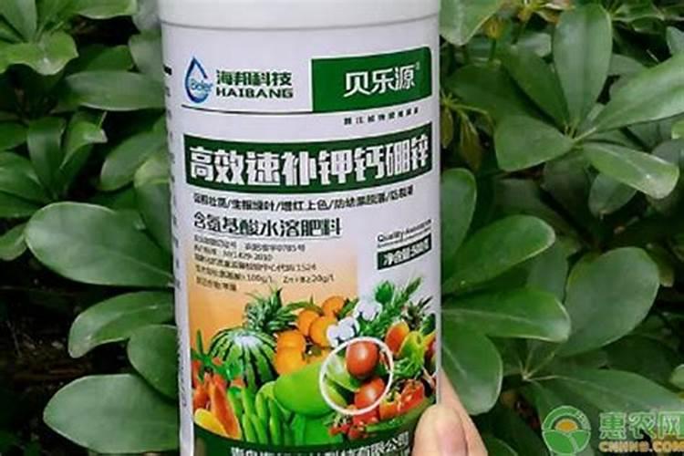 中国最好的叶面肥
