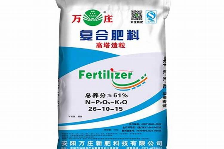 哪些小型狗适合当宠物
