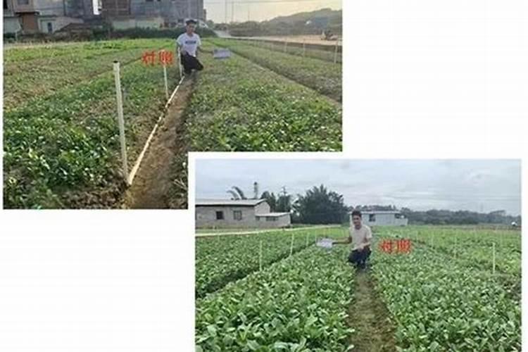 土壤速效磷的测定方法有哪些？