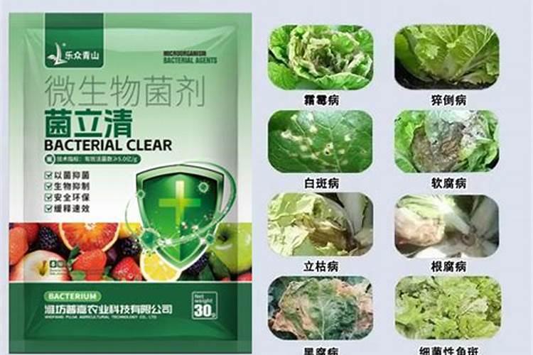 大白菜打磷酸二氢钾好吗？
