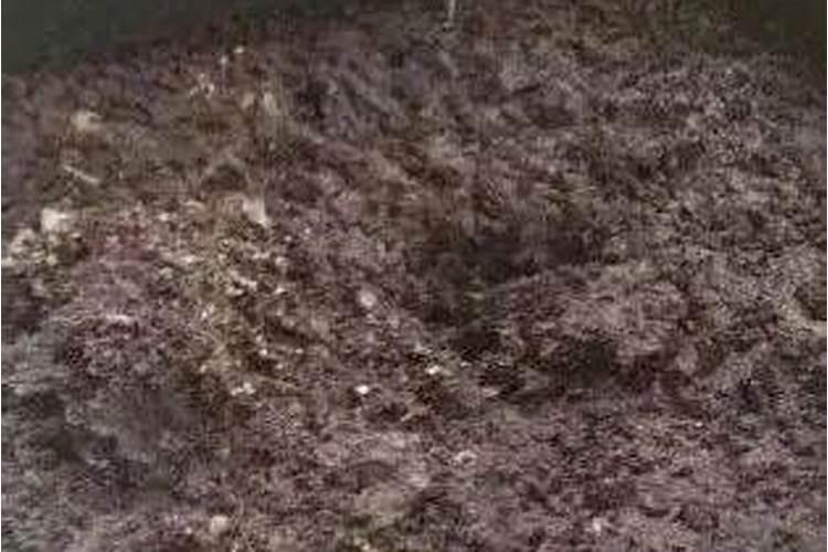 堆肥多久可以种植 堆肥几乎成熟了,什么时候能用于种植？