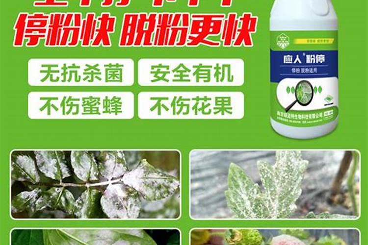 全国哪的辣椒最好吃？为什么？