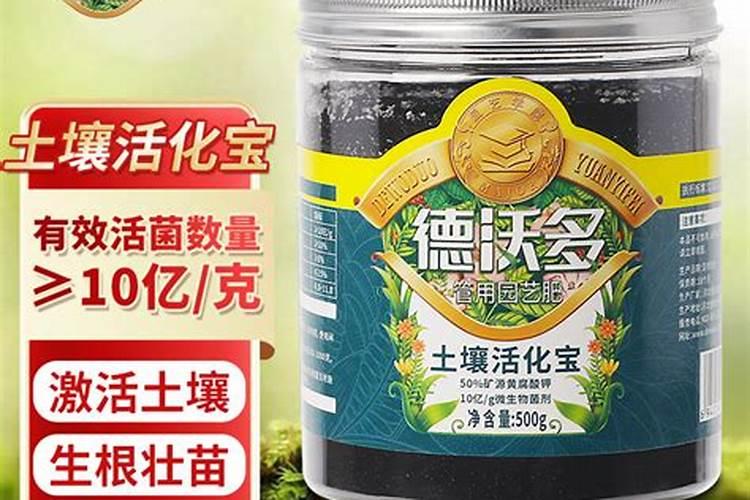 桃树黄叶病用什么药效果好
