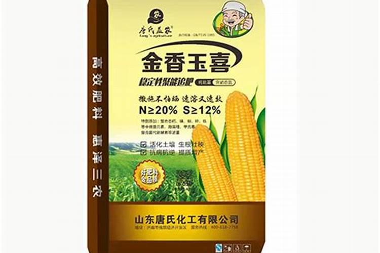金香玉月季有什么特别的？