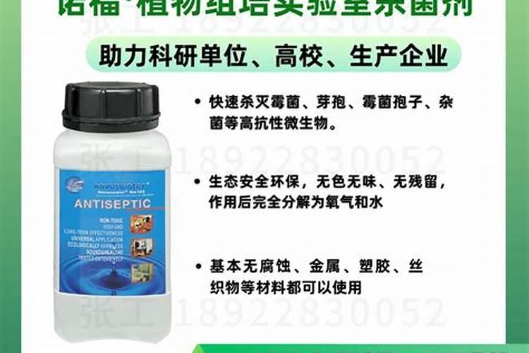金线莲家里种植方法