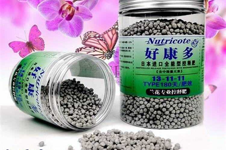 魔肥和好康多哪种好养兰花