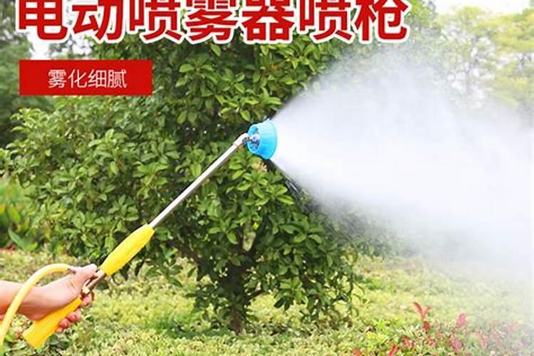 果树叶面肥过量如何挽救
