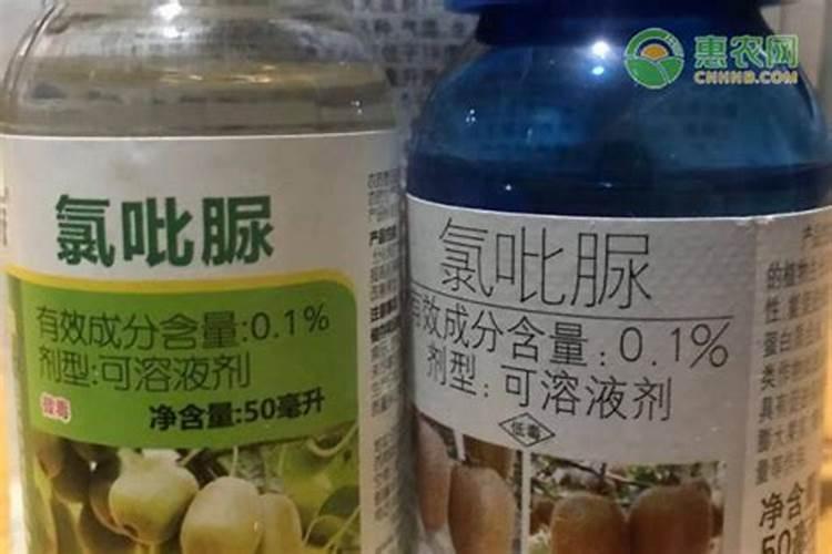 黄皮保花保果施什么叶面肥？黄皮膨大素用哪个比较好？黄皮喷施金泰靓膨果...