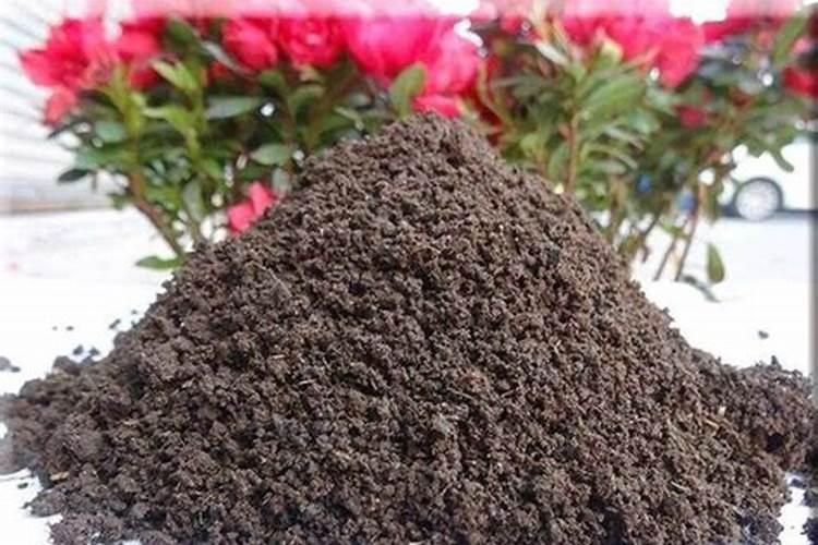 哪种肥料不属于有机肥料,有机肥料和无机肥料的区别