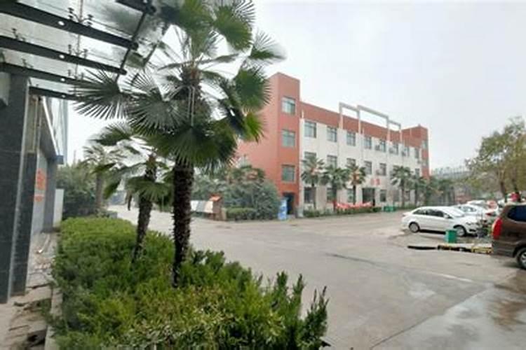 第一年葡萄小苗施什么肥(刚种葡萄苗用什么肥料长得快)