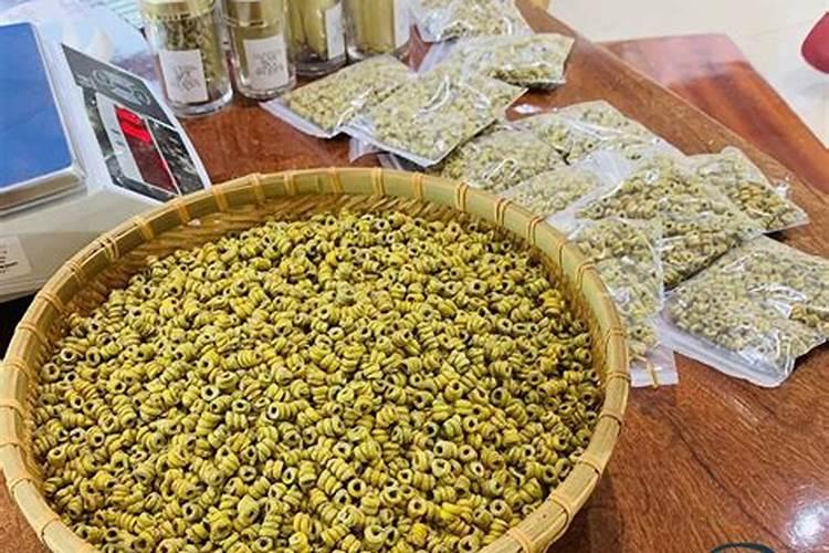 铁皮石斛用什么肥料好 怎么施肥