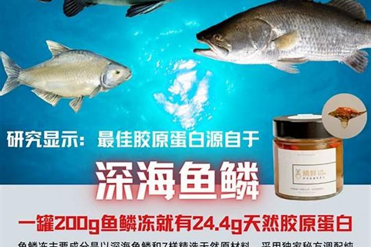 怎样做鱼没有鱼腥味