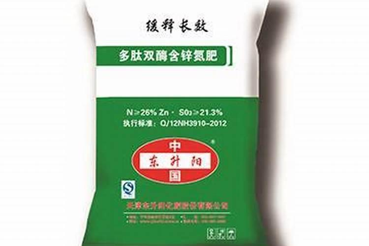 桑树该怎么种？急!!!……