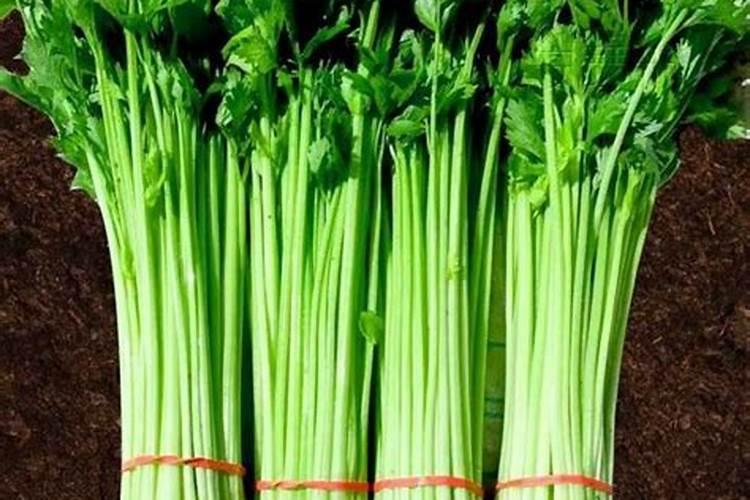 花生要施几次肥料