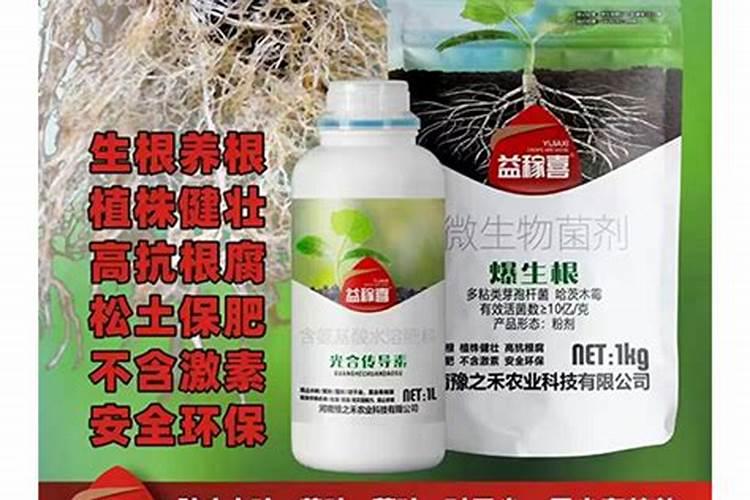 树苗施什么肥料什么时间施肥最好