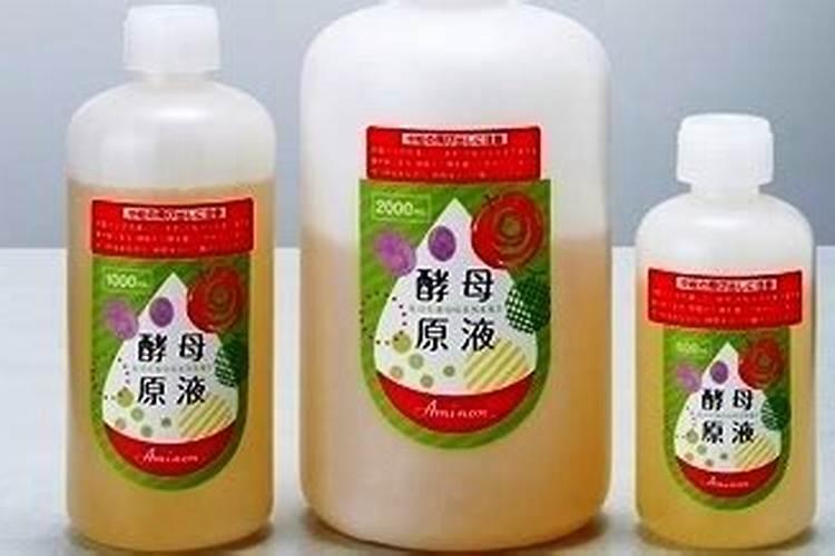酵母粉过期怎么浇花 方法是什么