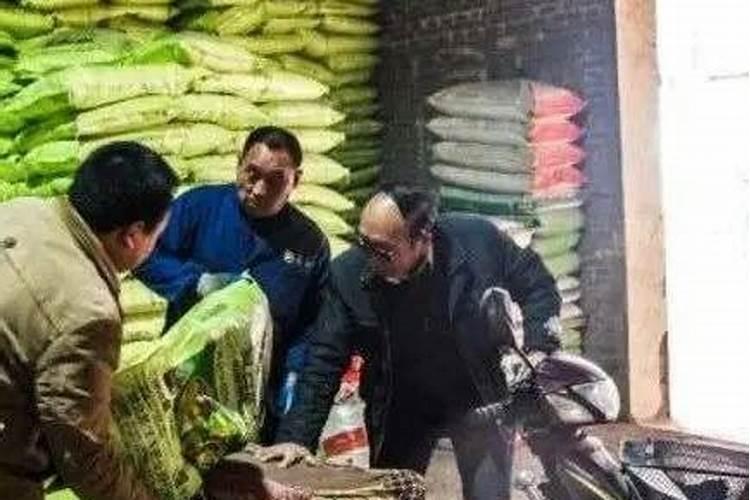 红薯的种植方法红薯怎么种才高产