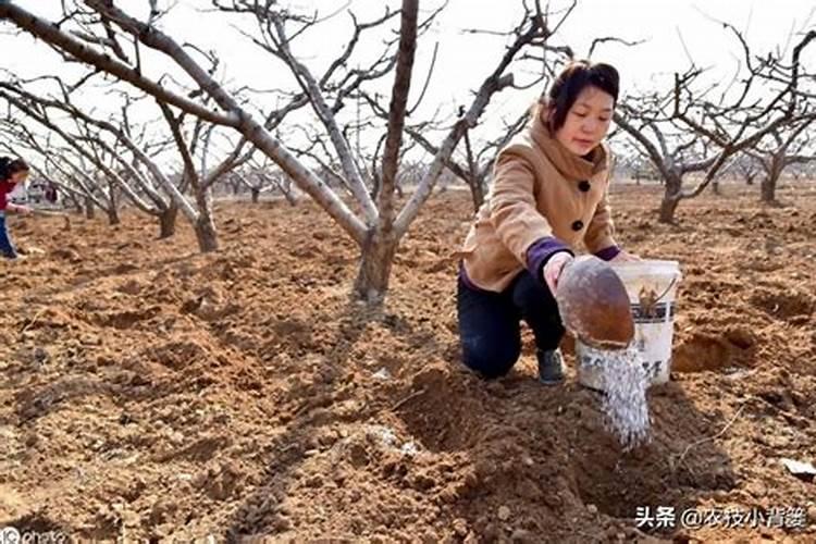 黄腐酸钾最佳使用方法